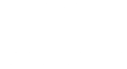 Wall Properties
